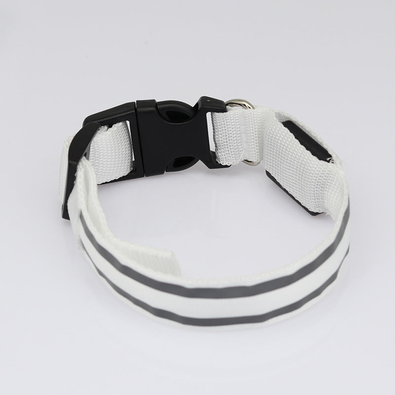 Led Light Up Collar