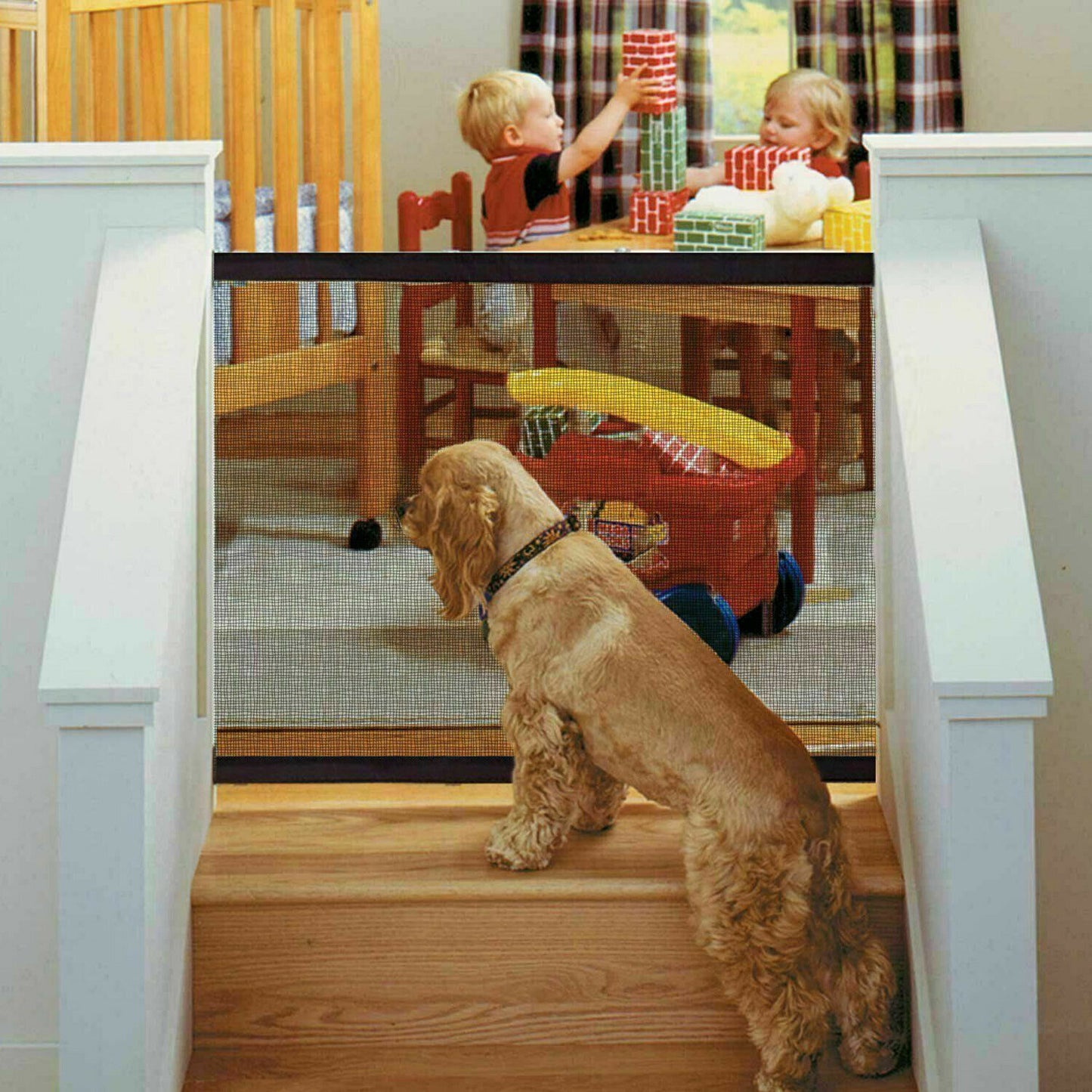 Pet Dog Fence Safety Gate