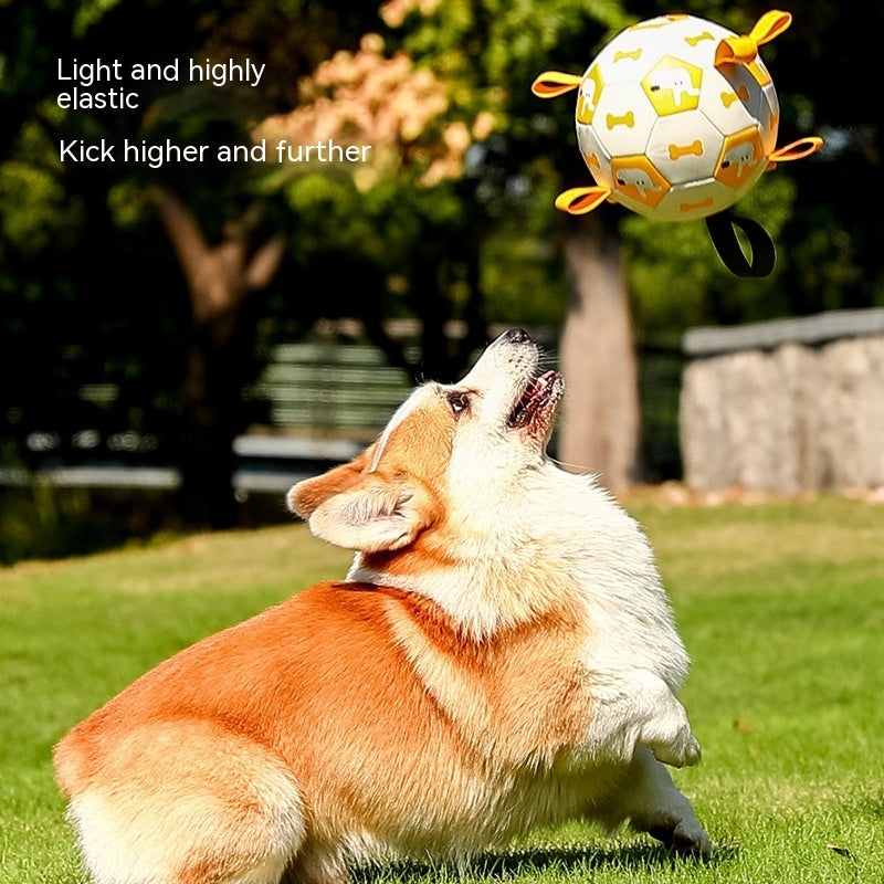 Dog Interactive Football Toys