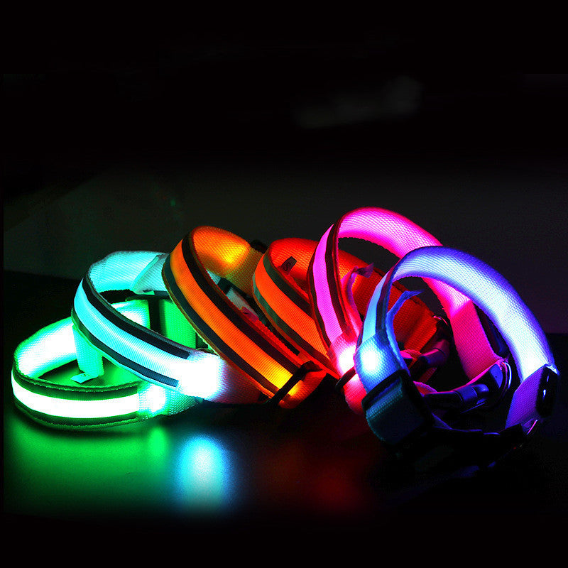 Led Light Up Collar